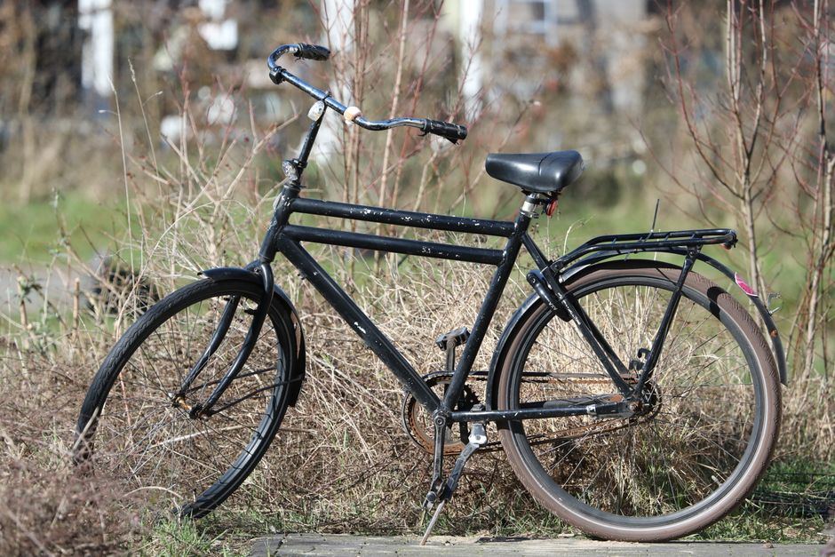 fietsendrager dak elektrische fiets koopgids